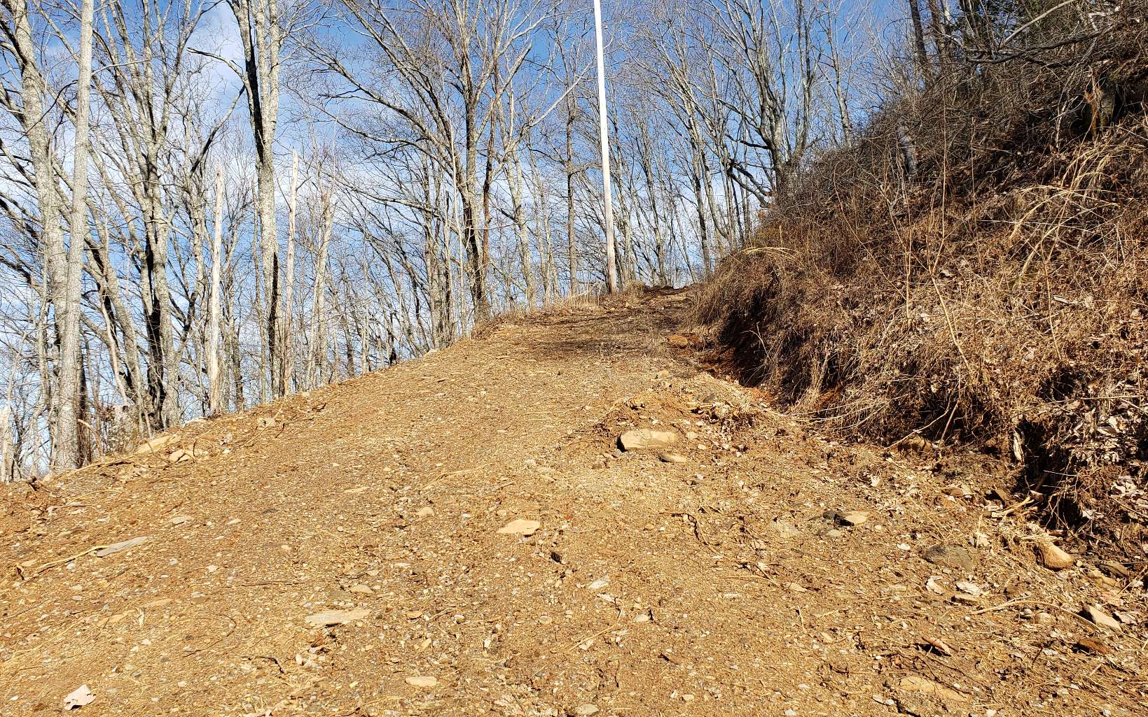 28 A Sassafras Ridge Road Turtletown, TN 37391 - Photo 9 of 25 Additional View