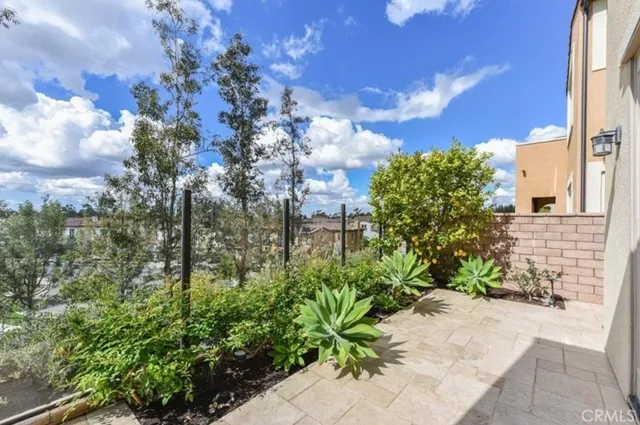 a view of a garden with plants and a pathway