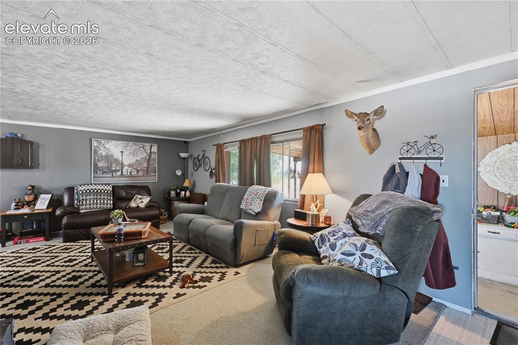 7775 Brule Road Colorado Springs, CO 80908 - Photo 17 of 28