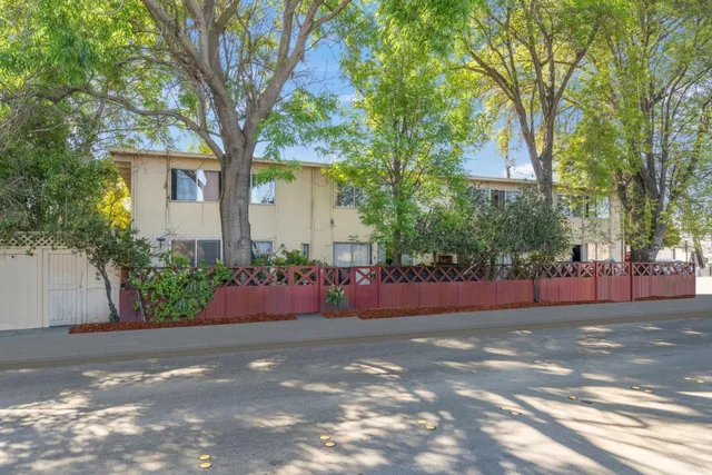 a view of a yard with plants and trees
