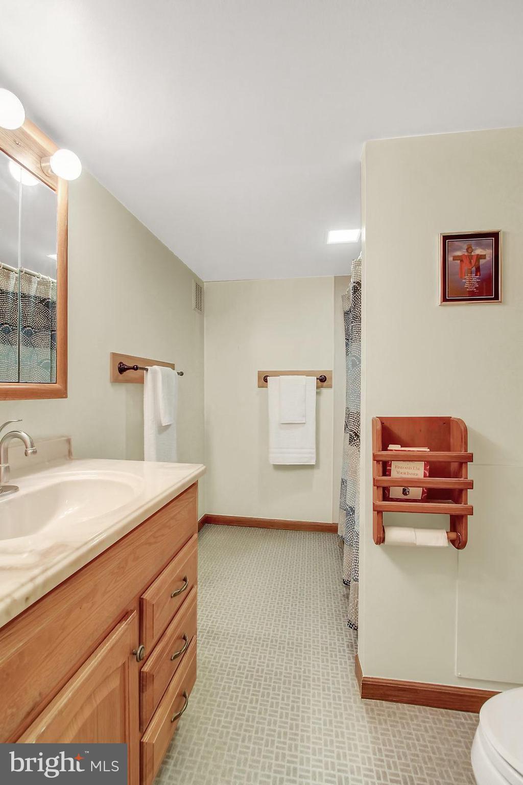 40 Rachael Road Dover, PA 17315 - Photo 19 of 33 LL Full Bath