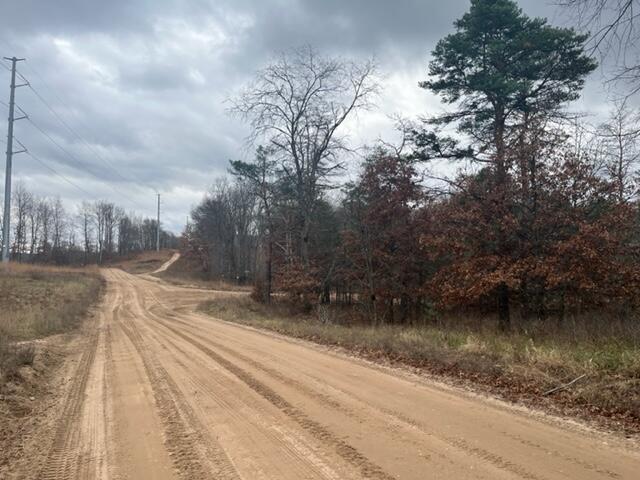 6 State Road Luther, MI 49656 - Photo 11 of 18
