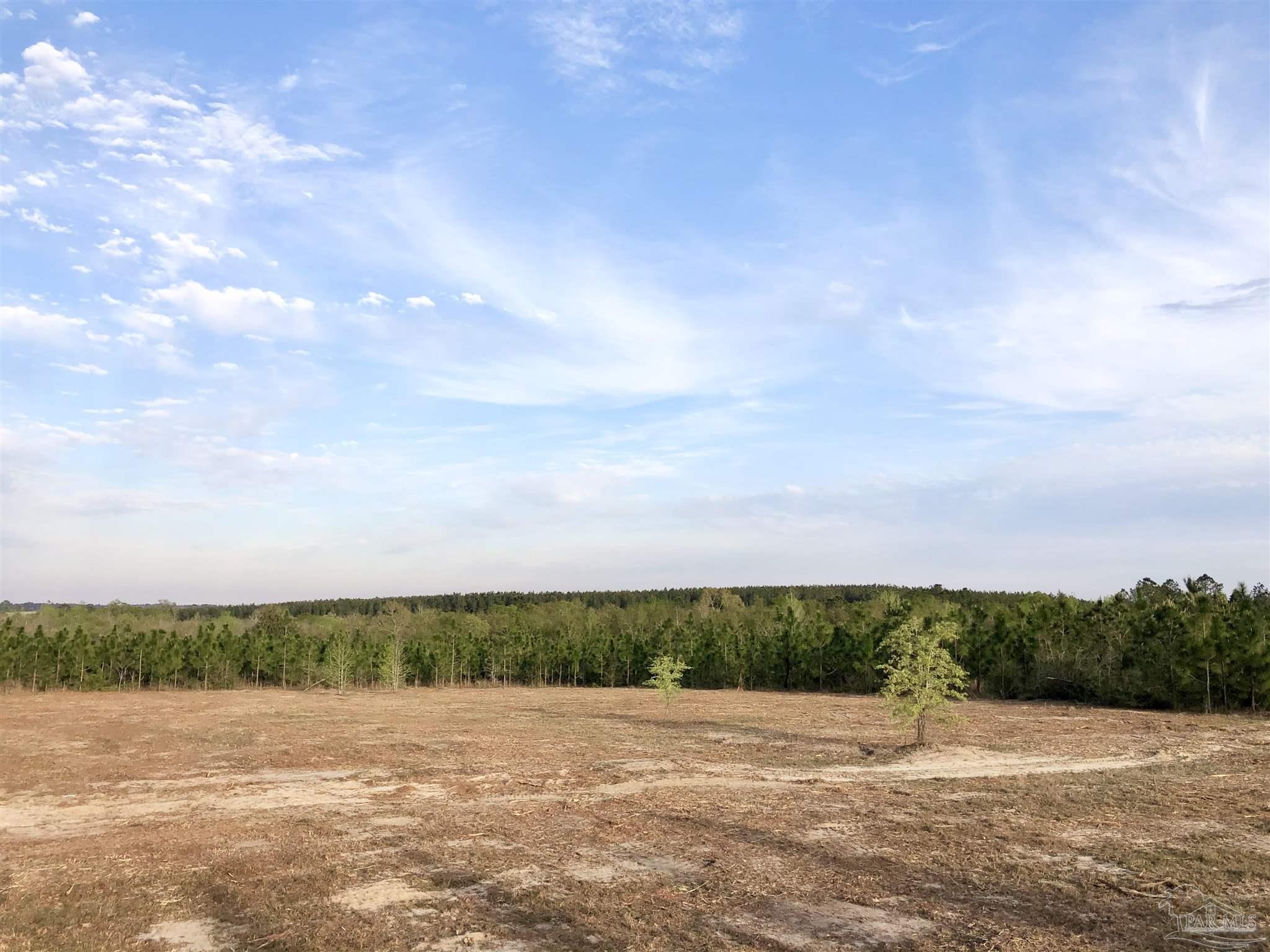 Lot 10-sw Gin Road Pace, FL 32571 - Photo 13 of 15