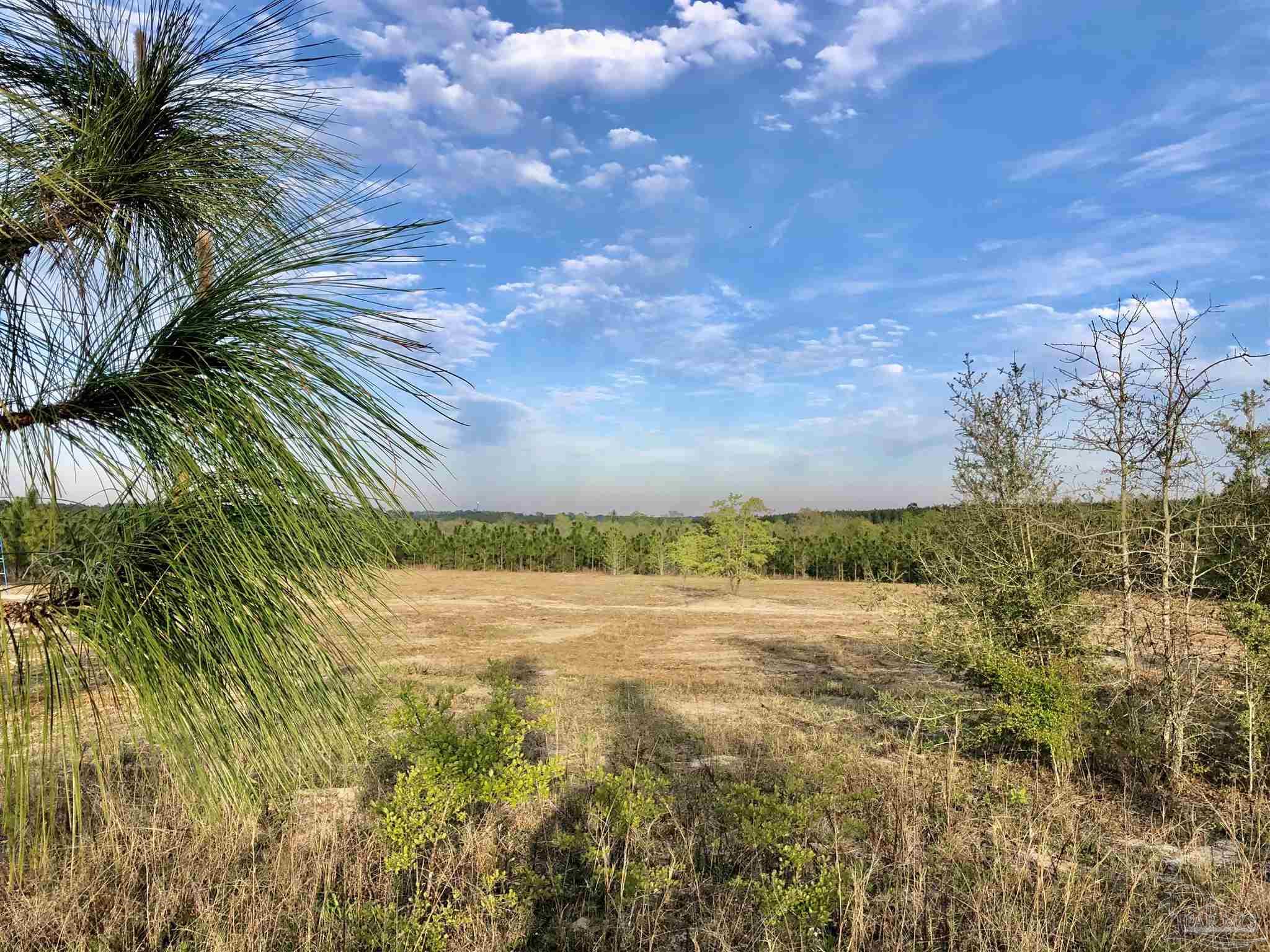 Lot 10-sw Gin Road Pace, FL 32571 - Photo 14 of 15