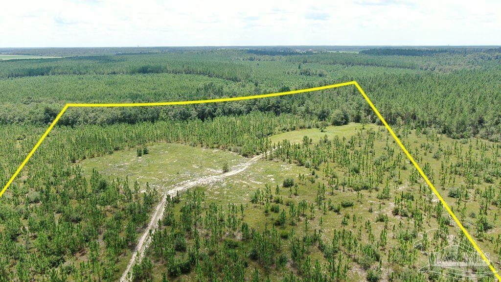 Lot 10-sw Gin Road Pace, FL 32571 - Photo 3 of 15