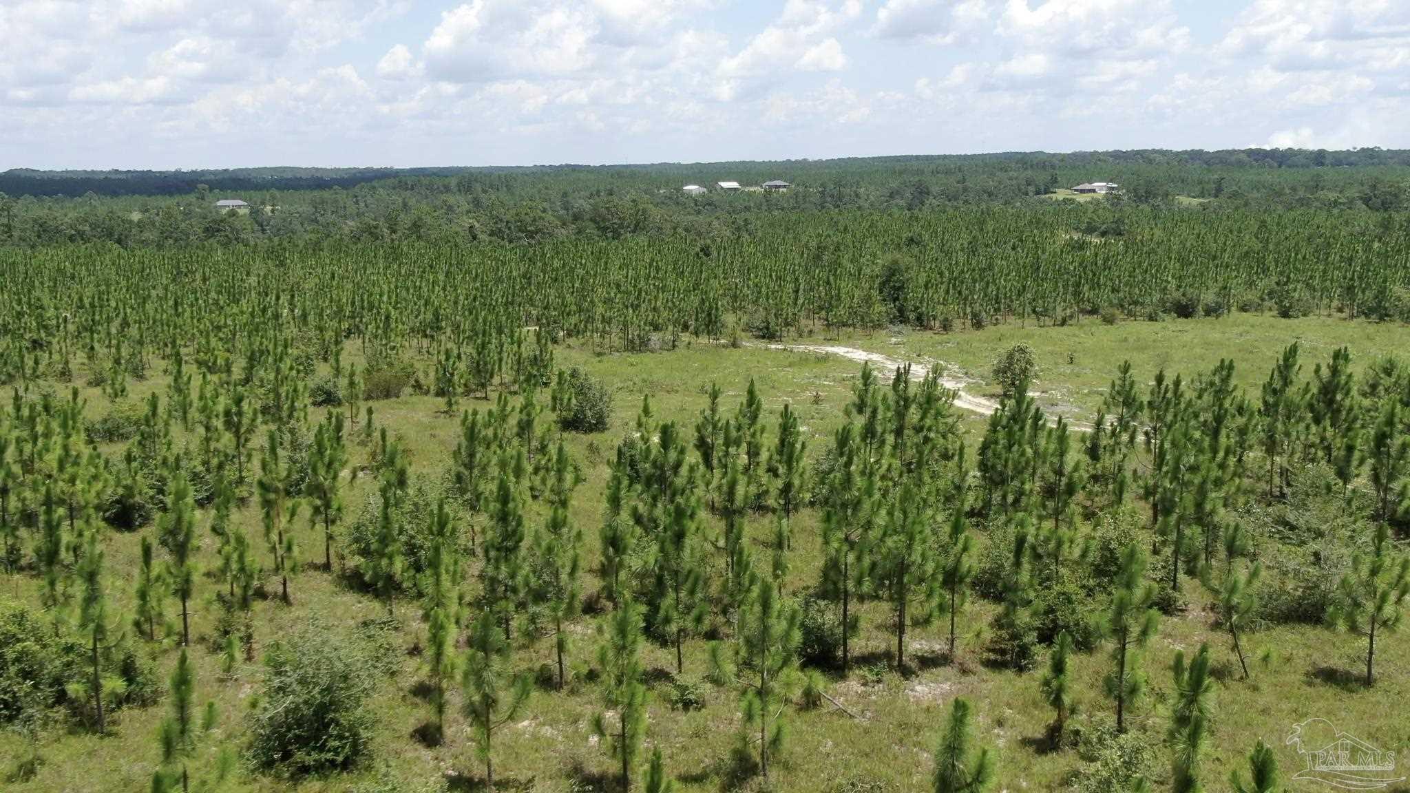 Lot 10-sw Gin Road Pace, FL 32571 - Photo 4 of 15