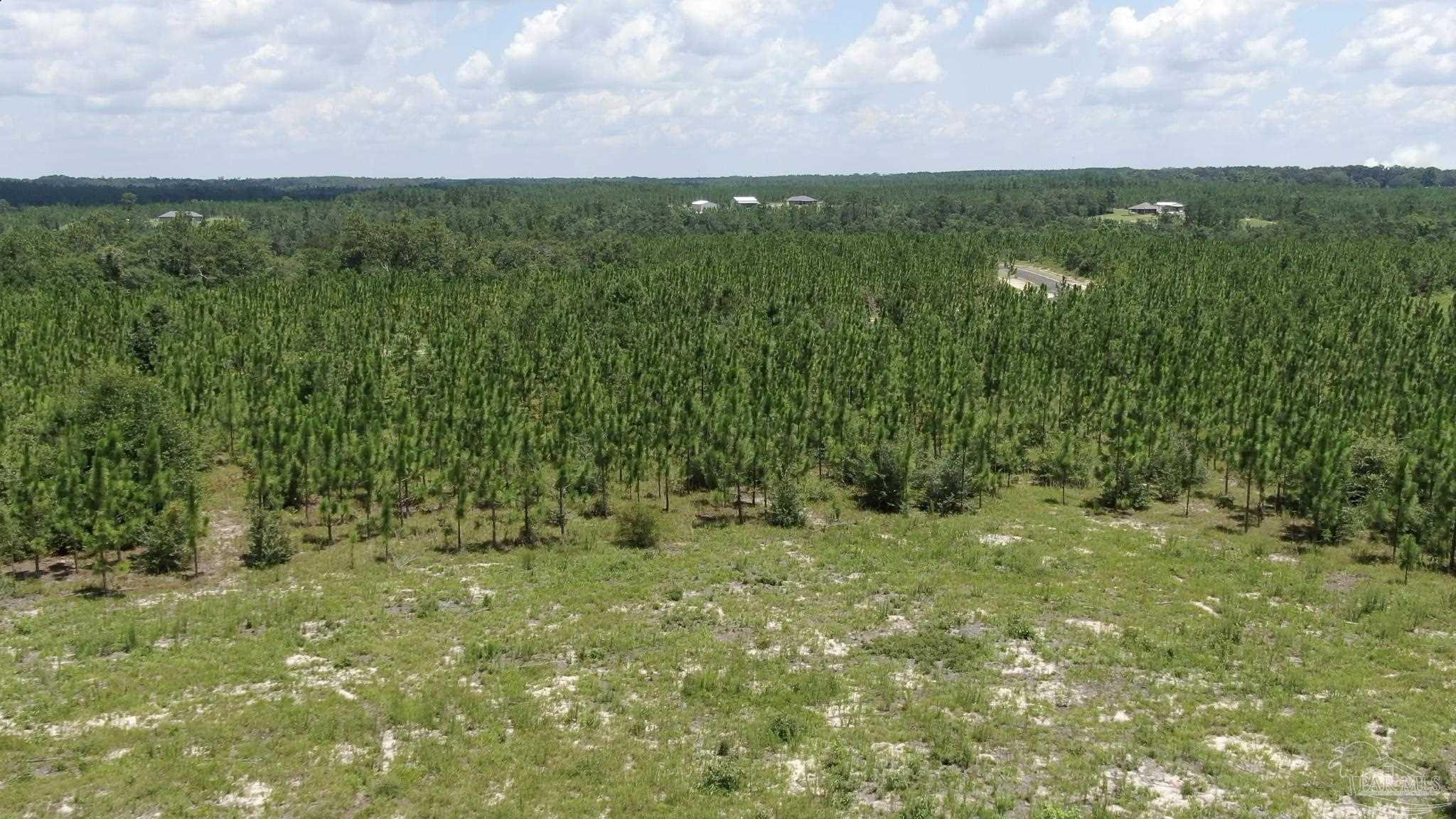 Lot 10-sw Gin Road Pace, FL 32571 - Photo 5 of 15