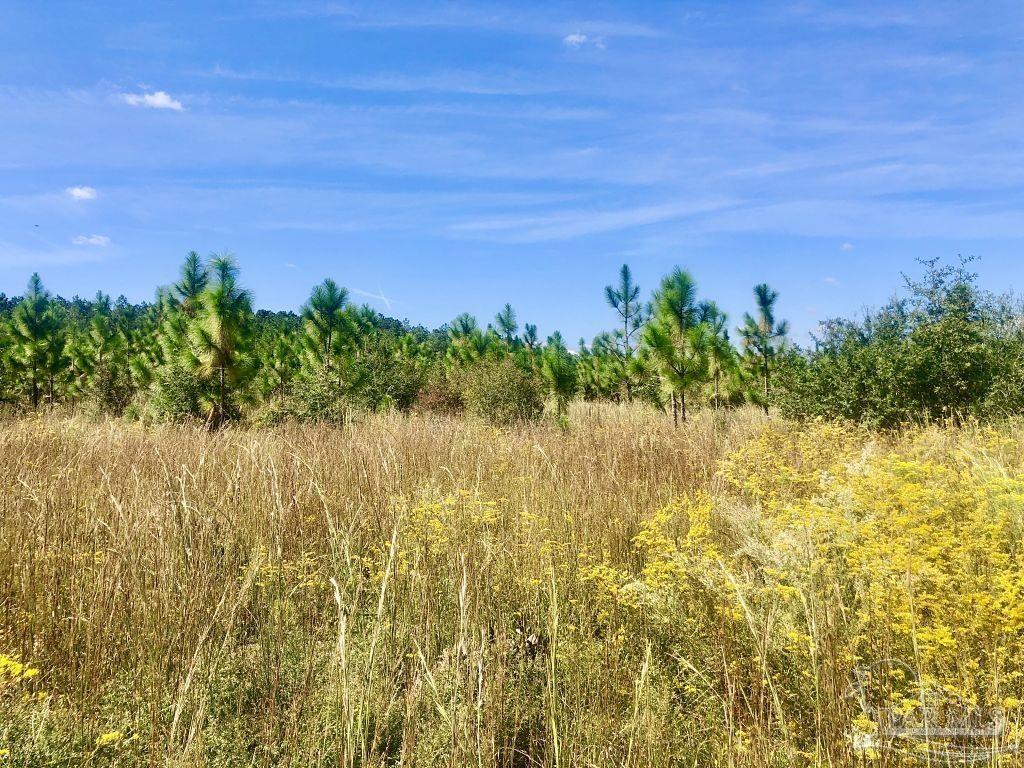 Lot 10-sw Gin Road Pace, FL 32571 - Photo 8 of 15