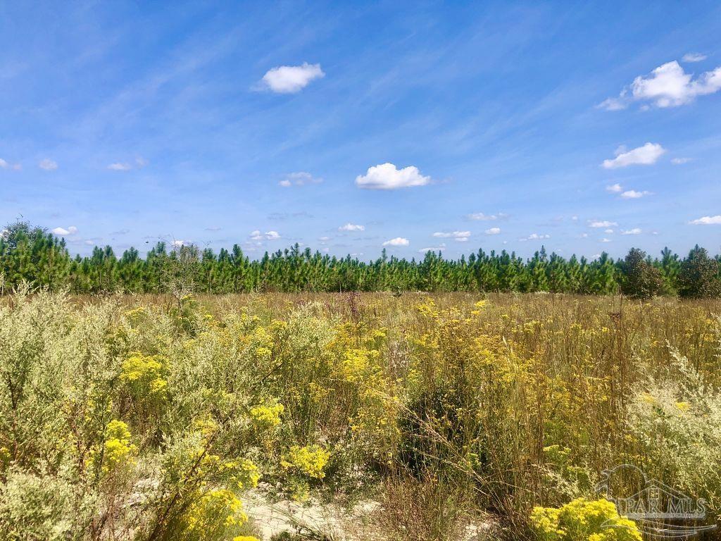 Lot 10-sw Gin Road Pace, FL 32571 - Photo 9 of 15