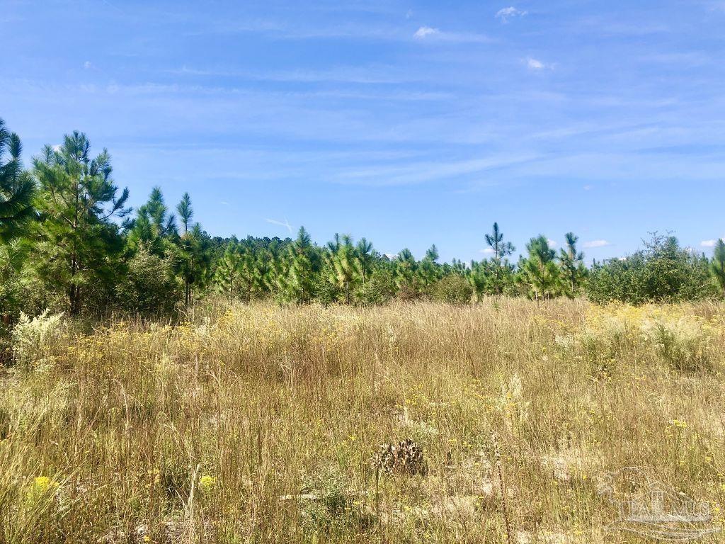 Lot 10-sw Gin Road Pace, FL 32571 - Photo 10 of 15