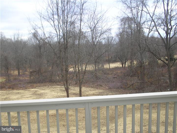 120 Mine Road Pennington, NJ 08534 - Photo 17 of 24 Back Yard