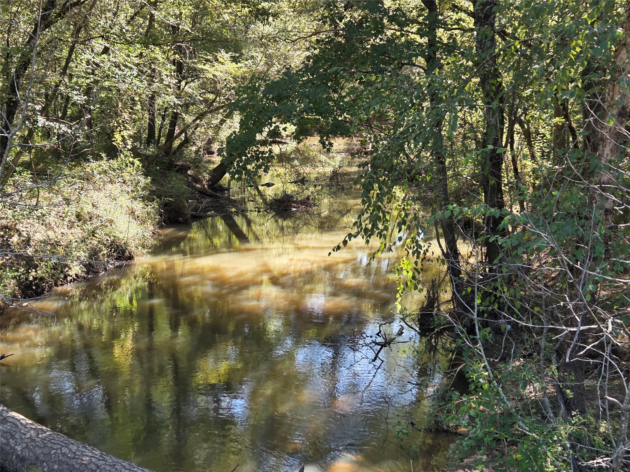 108-acres Morgan Cemetery Road Splendora, TX 77372 - Photo 7 of 7 a view of electric tree
