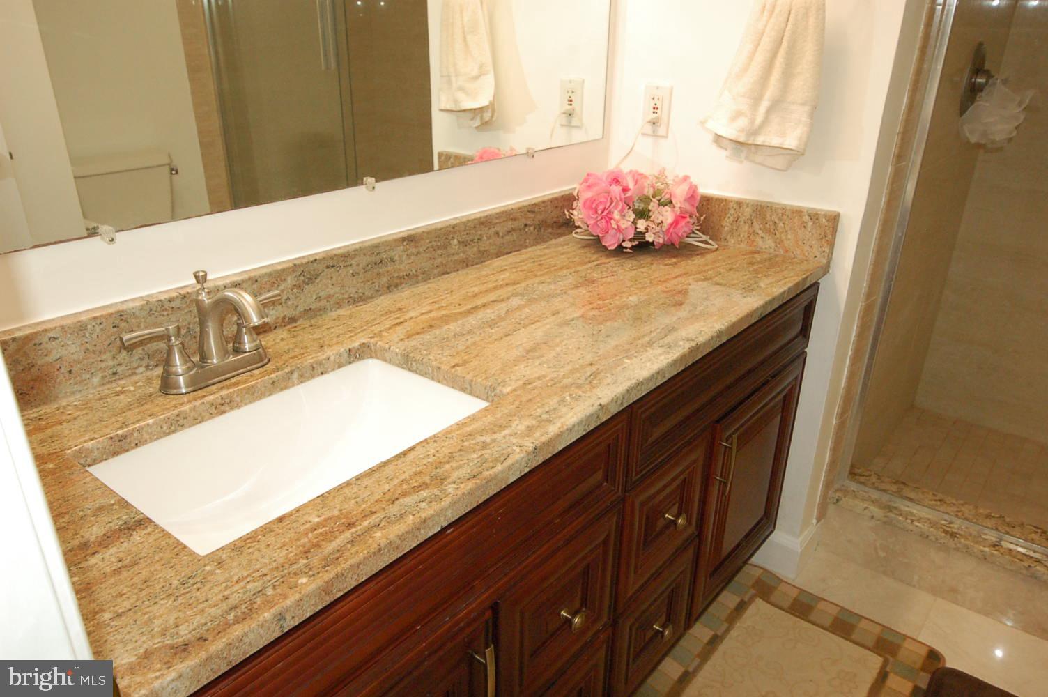 10820 Douglas Avenue Silver Spring, MD 20902 - Photo 23 of 61 Renovated primary bathroom