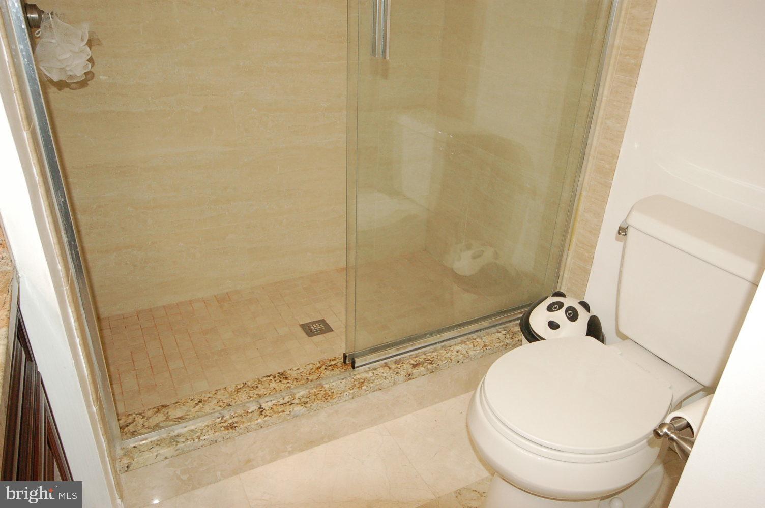 10820 Douglas Avenue Silver Spring, MD 20902 - Photo 25 of 61 Renovated primary bathroom