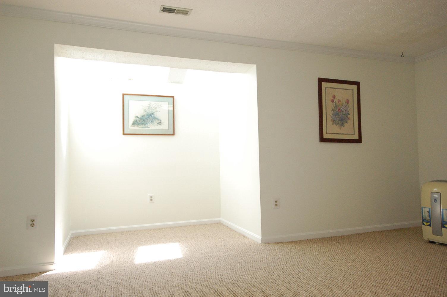 10820 Douglas Avenue Silver Spring, MD 20902 - Photo 26 of 61 Lower level family room skylights