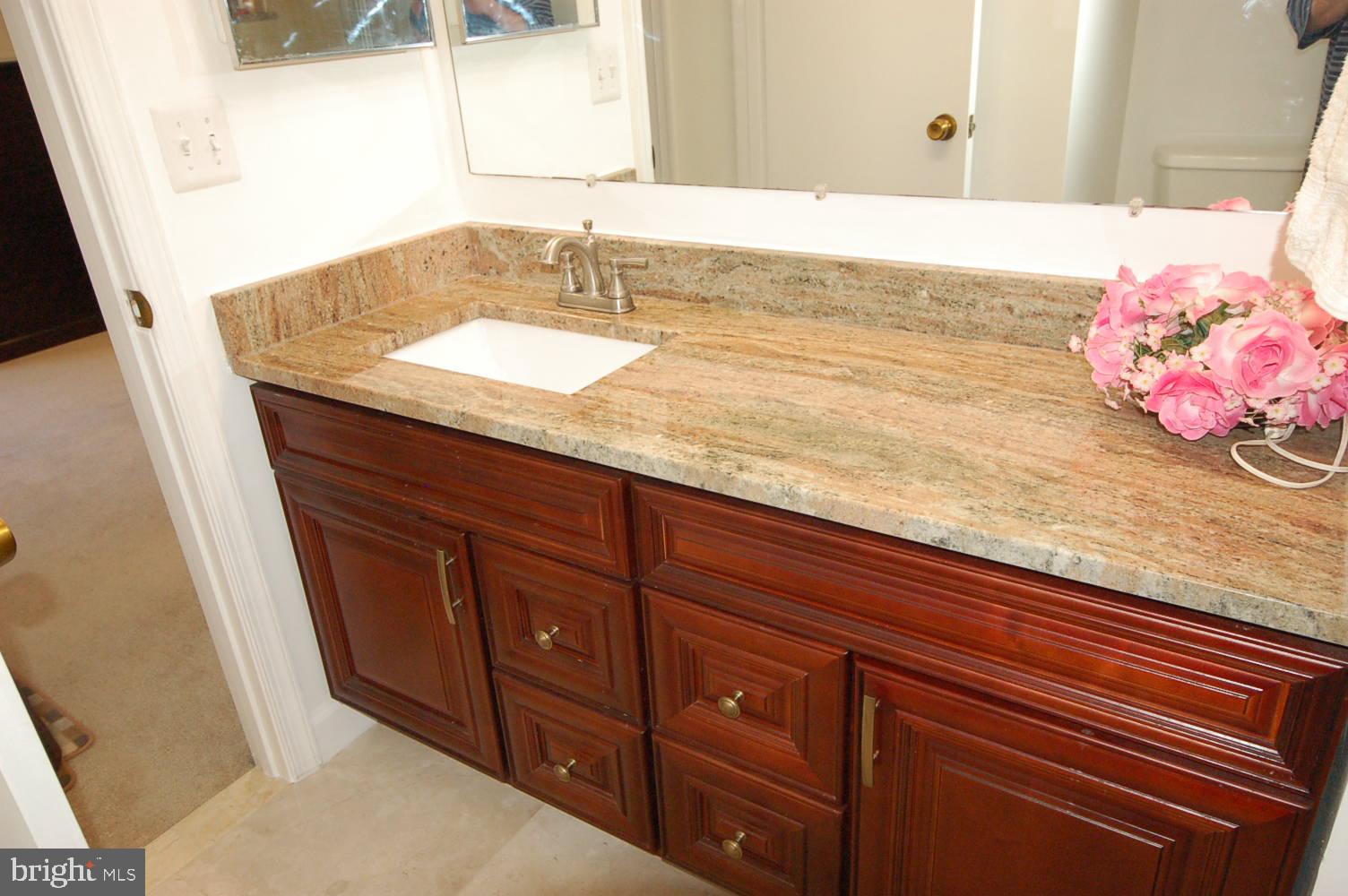10820 Douglas Avenue Silver Spring, MD 20902 - Photo 28 of 61 Primary bathroom