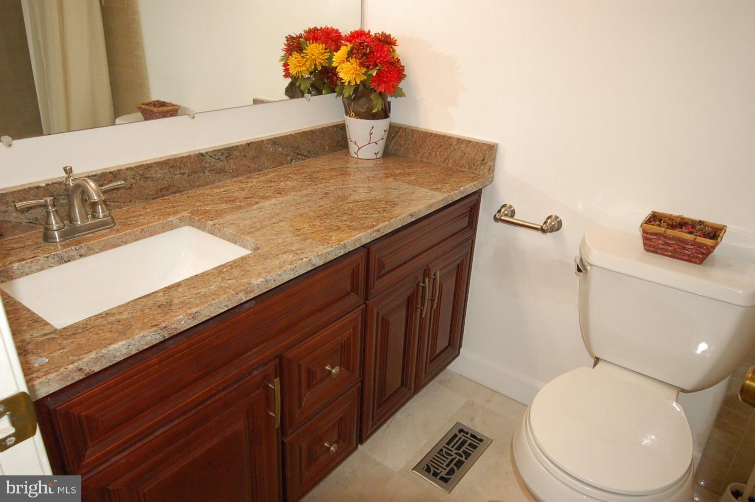 10820 Douglas Avenue Silver Spring, MD 20902 - Photo 31 of 61 Renovated hallway bathroom