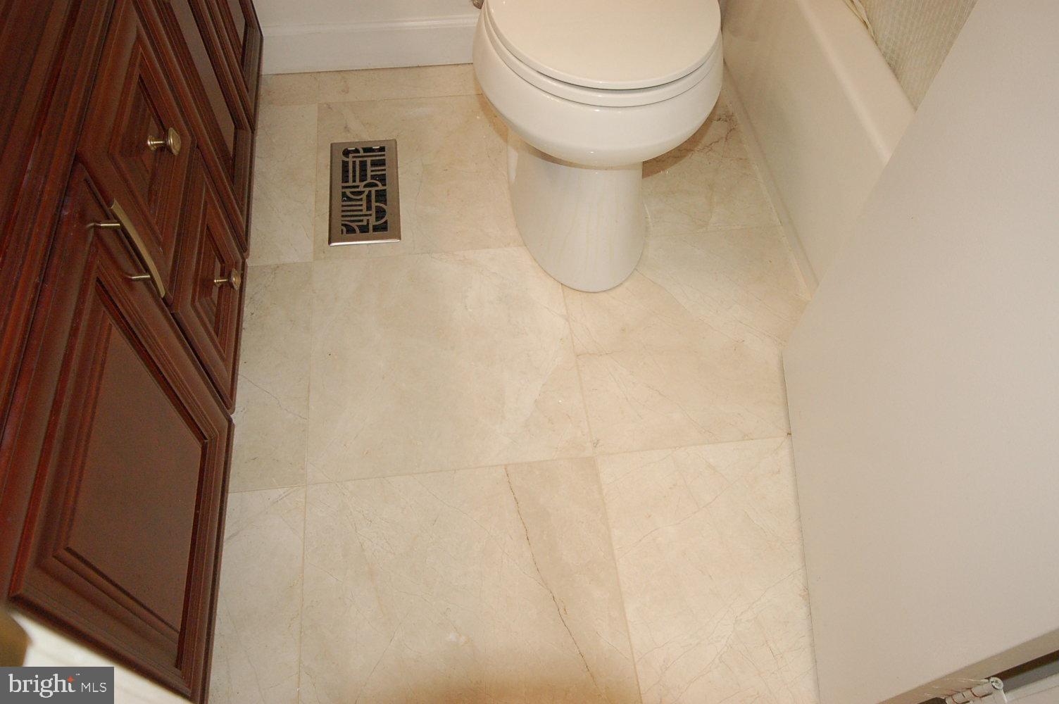 10820 Douglas Avenue Silver Spring, MD 20902 - Photo 32 of 61 Renovated Hallway bathroom