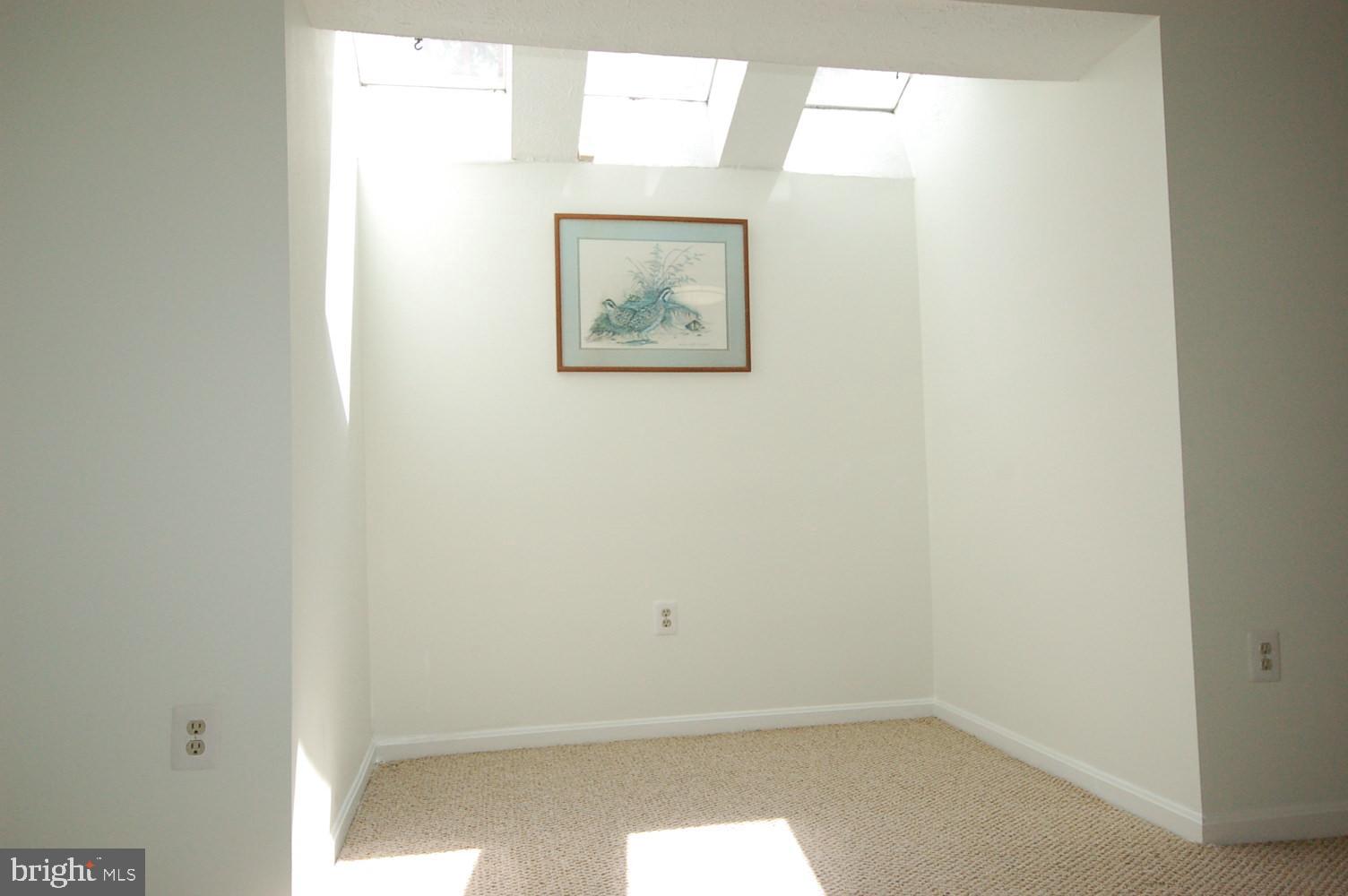 10820 Douglas Avenue Silver Spring, MD 20902 - Photo 49 of 61 Skylights in lower level