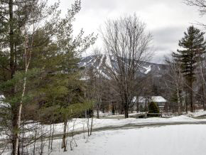 106 High Meadow Road Winhall, VT 05340 - Photo 13 of 13