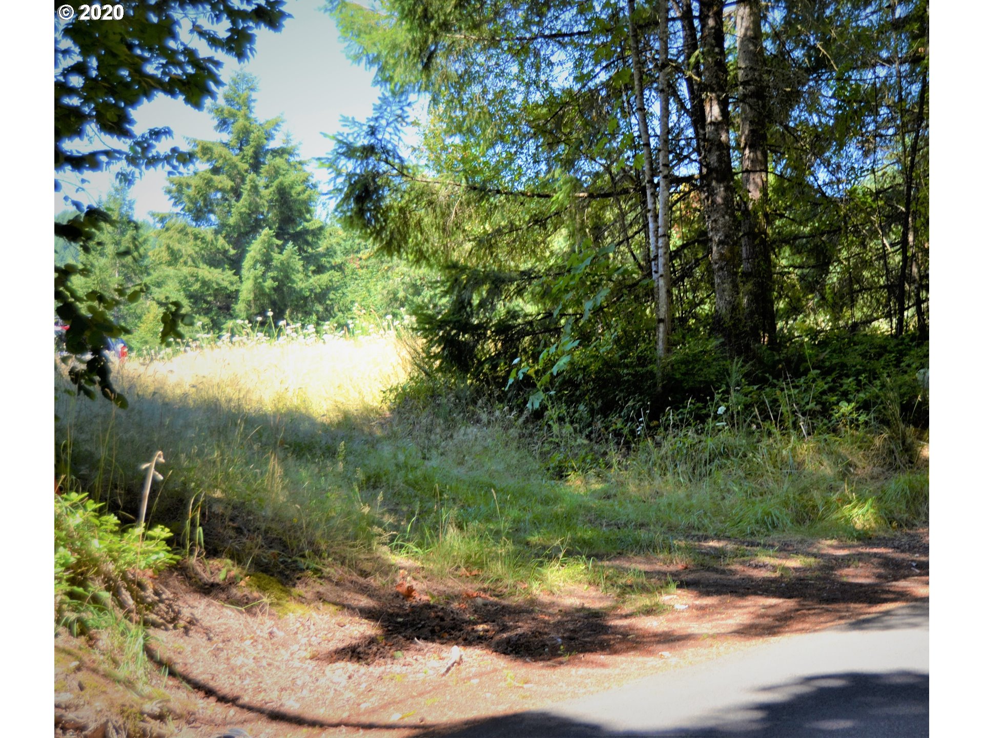 801 Butte Hill Road Woodland, WA 98674 - Photo 1 of 16 Gallery Image 1