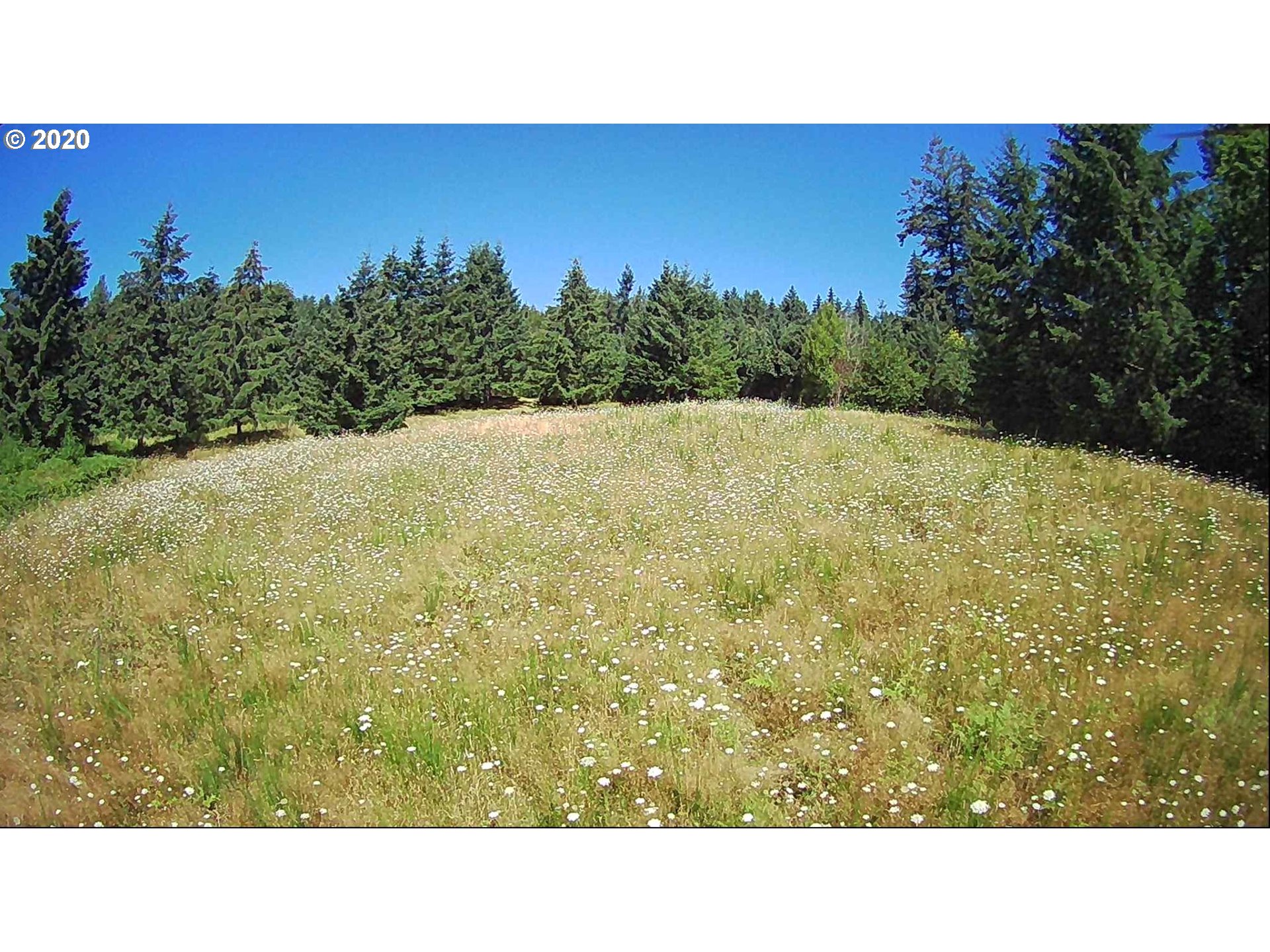 801 Butte Hill Road Woodland, WA 98674 - Photo 14 of 16 Gallery Image 14