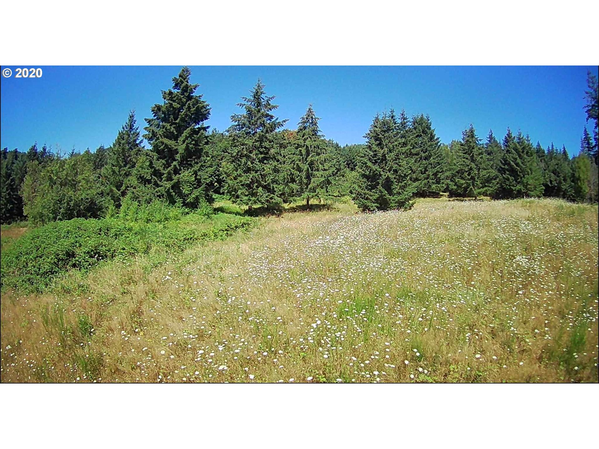 801 Butte Hill Road Woodland, WA 98674 - Photo 15 of 16 Gallery Image 15