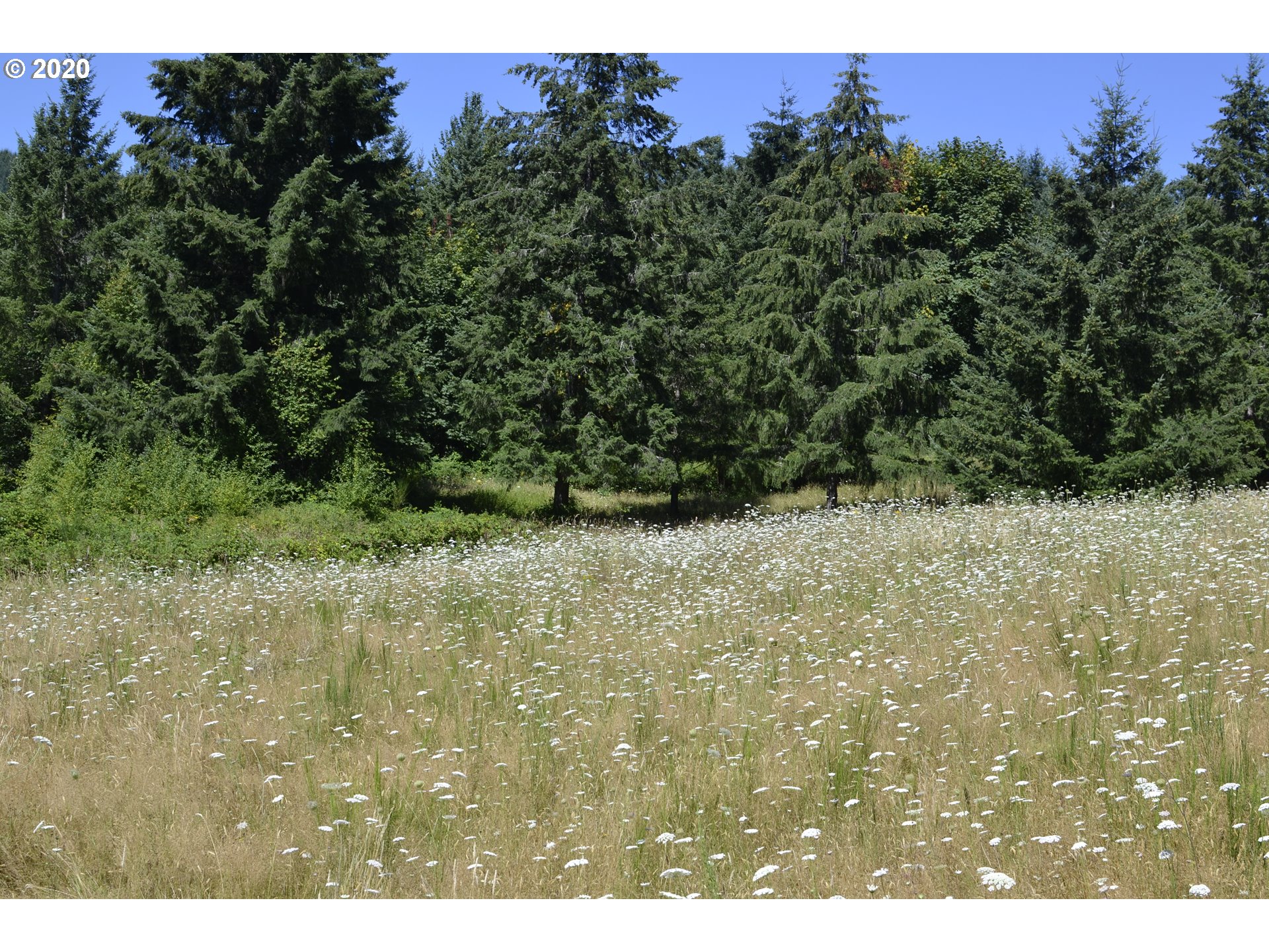 801 Butte Hill Road Woodland, WA 98674 - Photo 4 of 16 Gallery Image 4