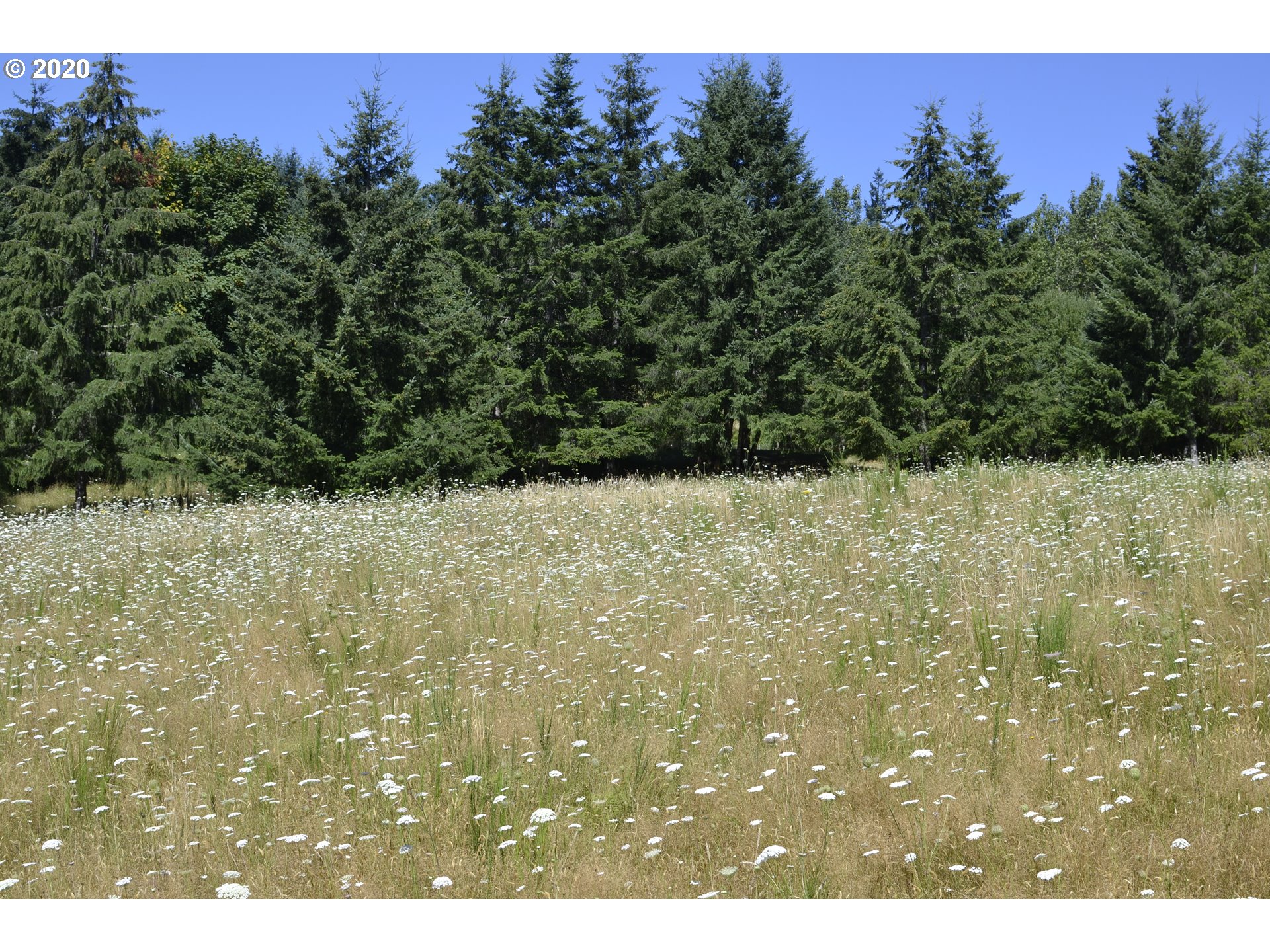 801 Butte Hill Road Woodland, WA 98674 - Photo 5 of 16 Gallery Image 5