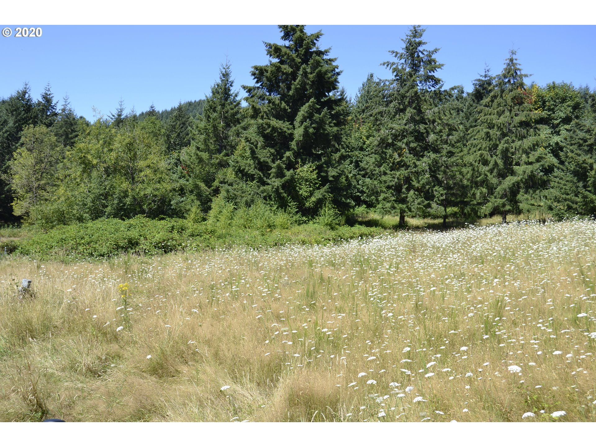 801 Butte Hill Road Woodland, WA 98674 - Photo 7 of 16 Gallery Image 7