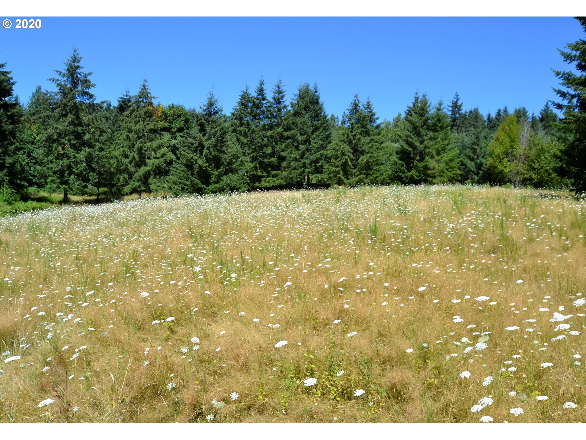 801 Butte Hill Road Woodland, WA 98674 - Photo 8 of 16 Gallery Image 8