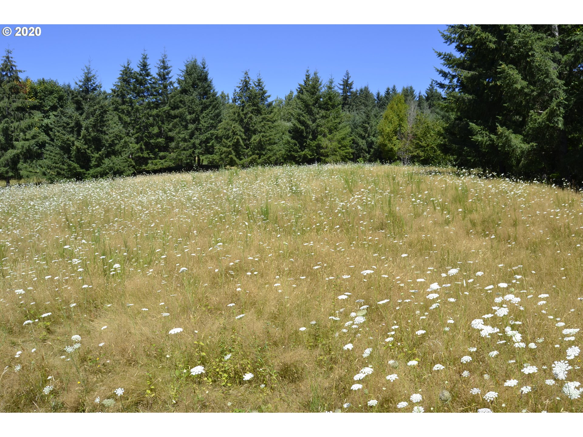 801 Butte Hill Road Woodland, WA 98674 - Photo 9 of 16 Gallery Image 9