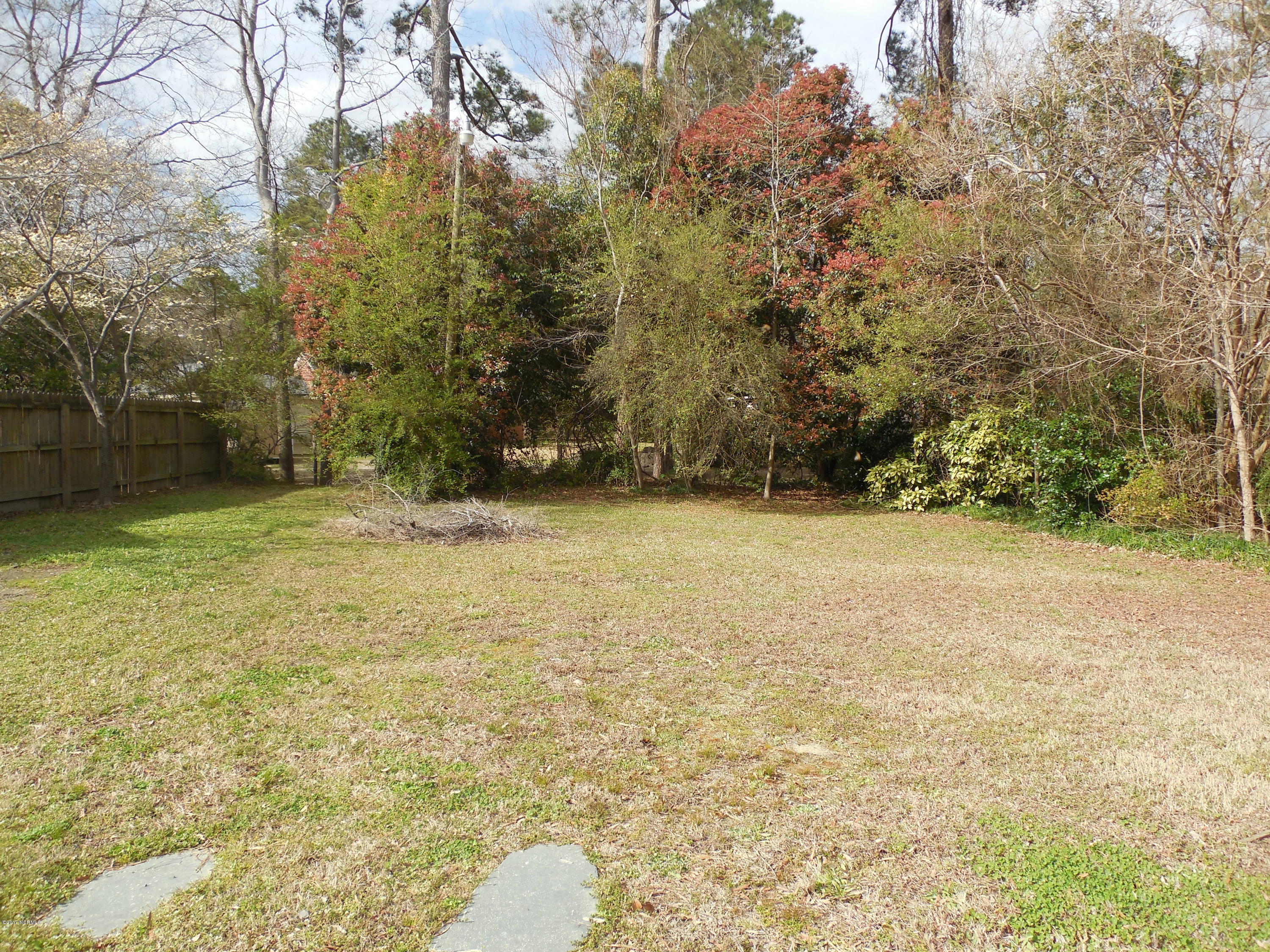 106 Clifton Road Rocky Mount, NC 27804 - Photo 3 of 20 Spacious back yard!