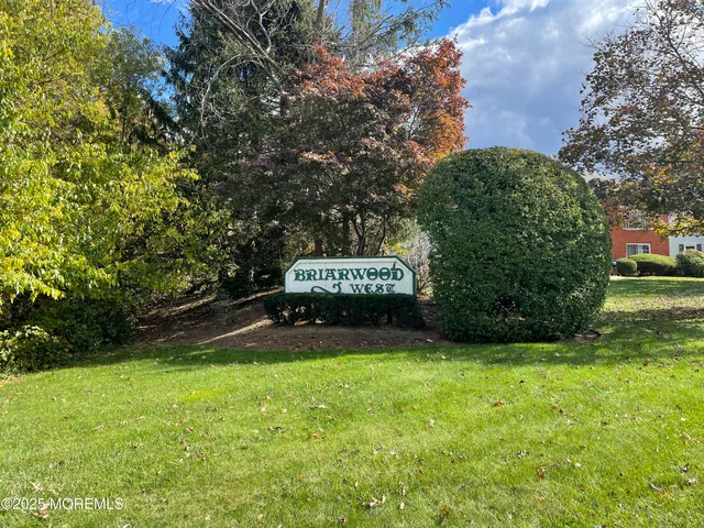 a view of a back yard