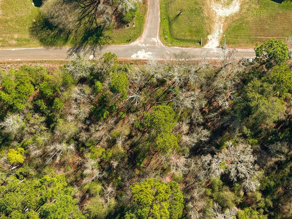 26 Phillips Road Onalaska, TX 77360 - Photo 7 of 11 a view of a yard