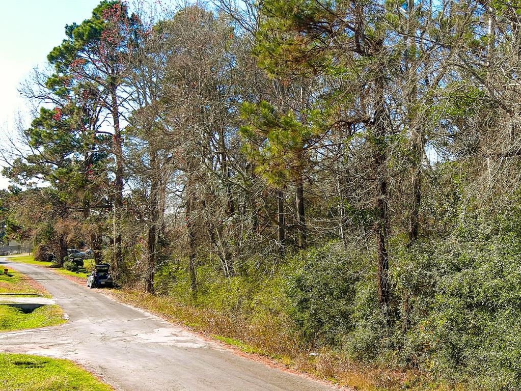26 Phillips Road Onalaska, TX 77360 - Photo 9 of 11 a view of a yard with plants and trees
