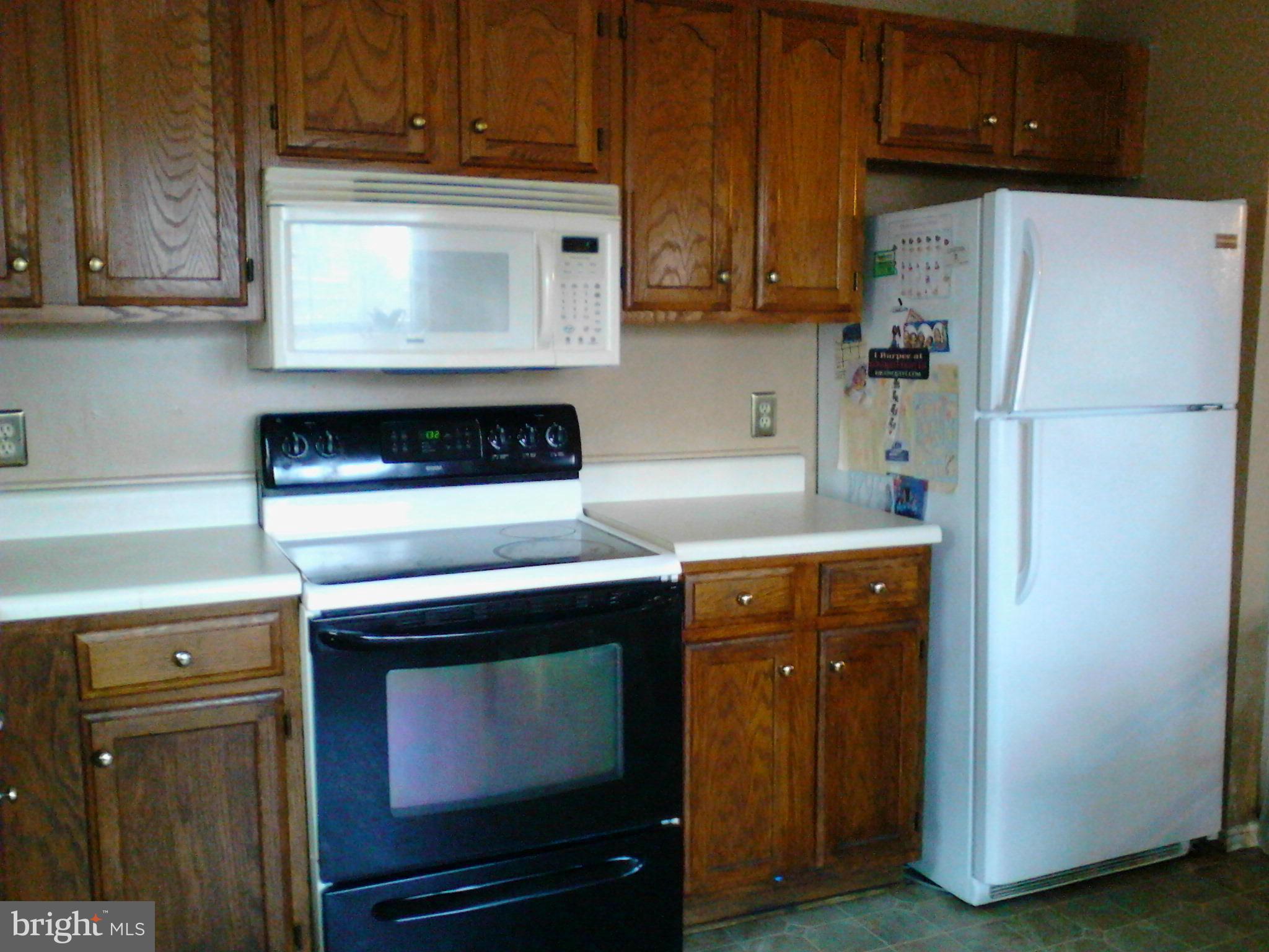 7844 Camp Road Pasadena, MD 21122 - Photo 6 of 17 Kitchen