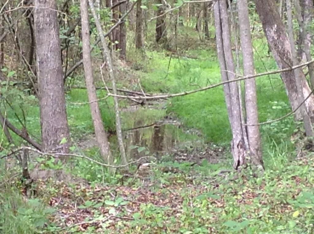 24-acres Madison Road Mocksville, NC 27028 - Photo 13 of 24 Gallery Image 13