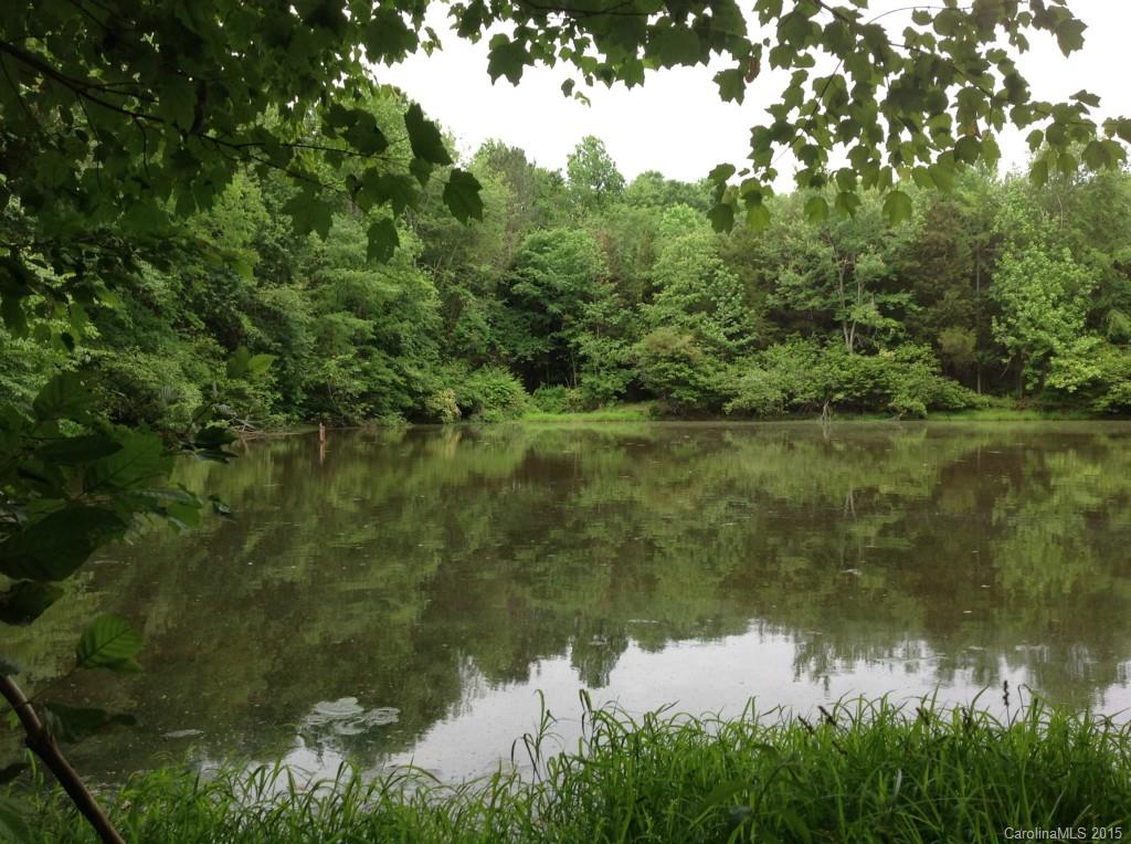24-acres Madison Road Mocksville, NC 27028 - Photo 21 of 24 Gallery Image 21