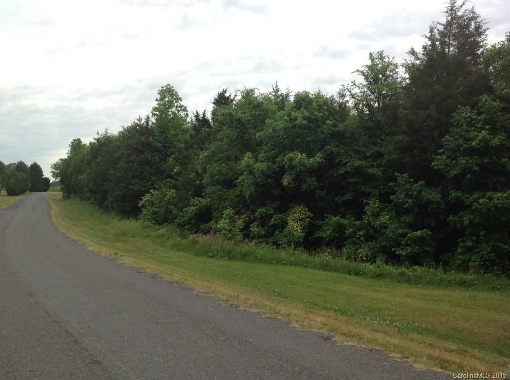 24-acres Madison Road Mocksville, NC 27028 - Photo 4 of 24 Gallery Image 4