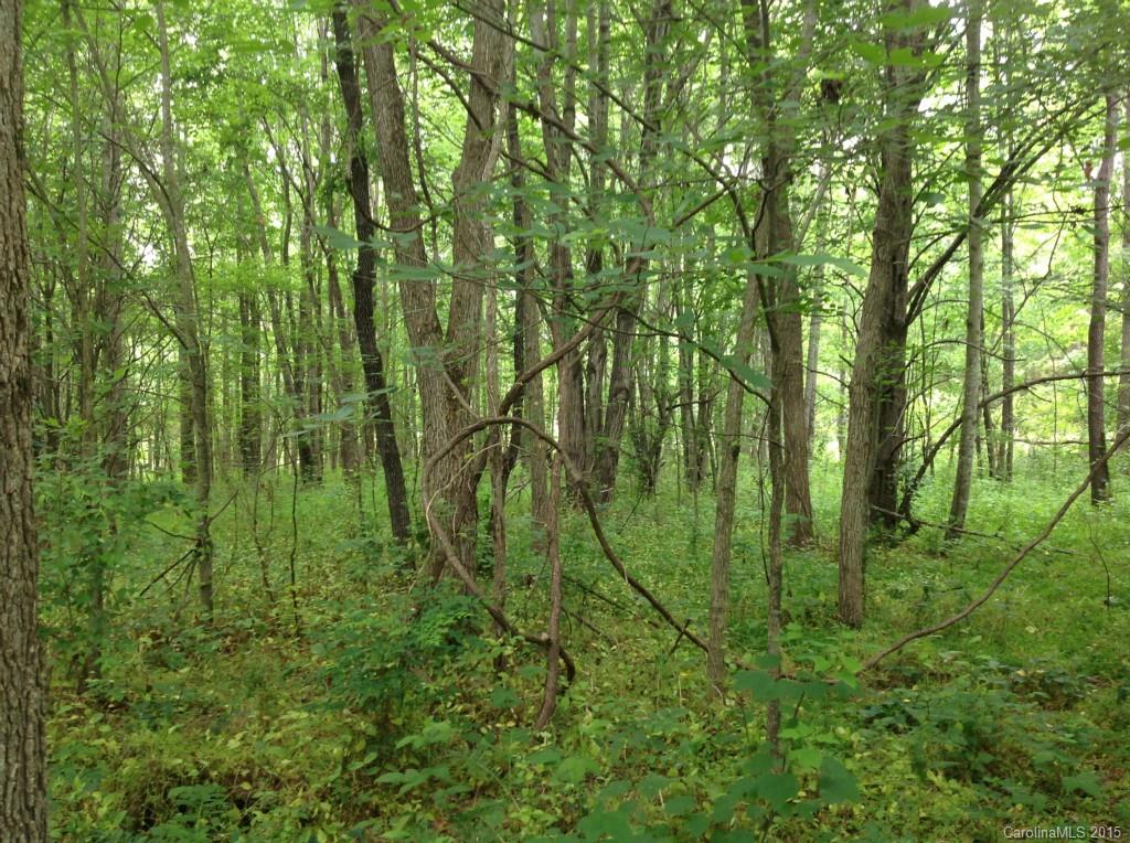 24-acres Madison Road Mocksville, NC 27028 - Photo 9 of 24 Gallery Image 9