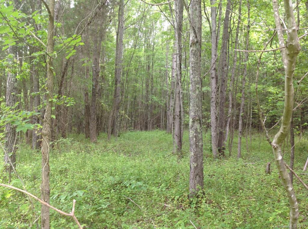 24-acres Madison Road Mocksville, NC 27028 - Photo 10 of 24 Gallery Image 10