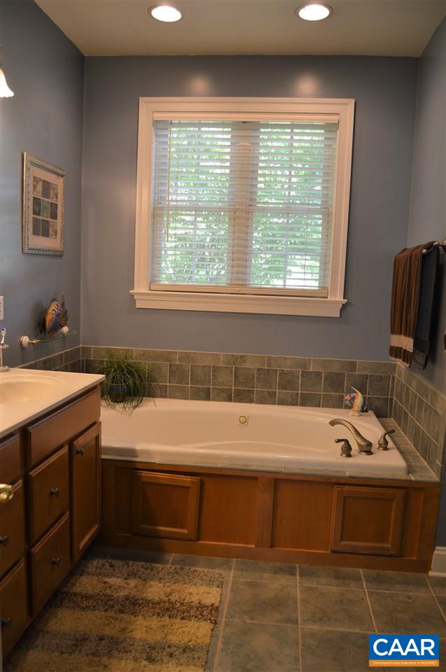 367 Taylor Ridge Way Palmyra, VA 22963 - Photo 18 of 32 Gallery Image 18