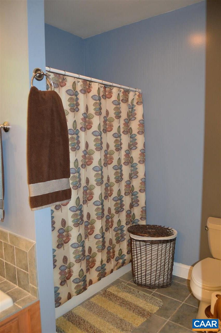 367 Taylor Ridge Way Palmyra, VA 22963 - Photo 19 of 32 Gallery Image 19