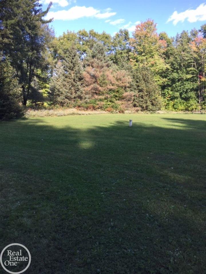 6665 Cribbins Road Avoca, MI 48006 - Photo 74 of 80 31361557-73.JPG