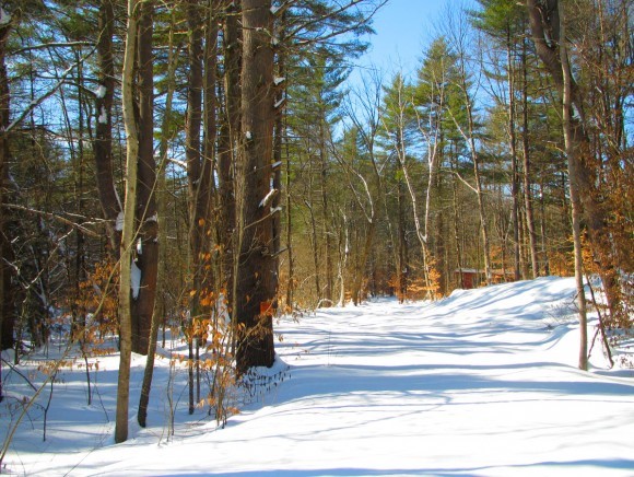 - Stage Road West Chesterfield, NH 03466 - Photo 1 of 1