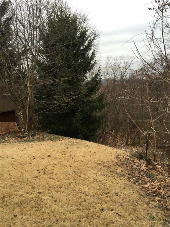 443 Bechman Street Springdale, PA 15144 - Photo 18 of 19 Another View of Rear Yard and Woods!