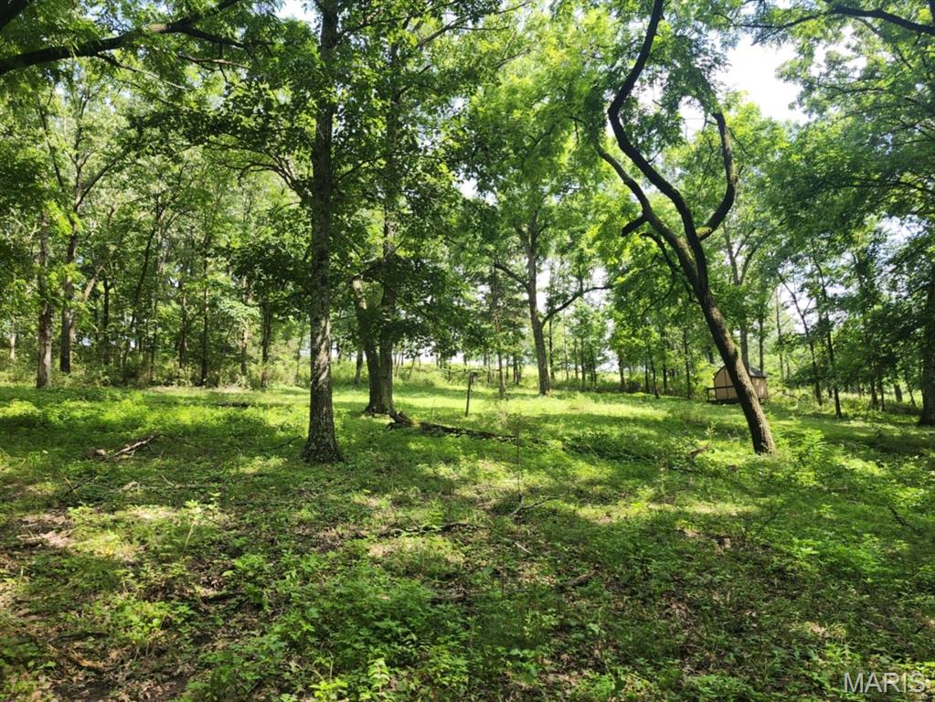 0 State Highway 76 Ava, MO 65608 - Photo 1 of 10