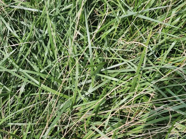 $176,000 | 0 State Highway 76, Ava, MO 65608