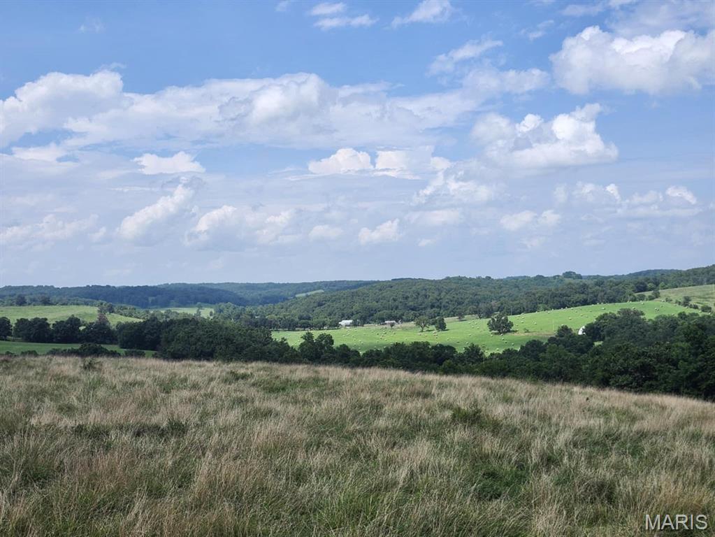 0 State Highway 76 Ava, MO 65608 - Photo 5 of 10